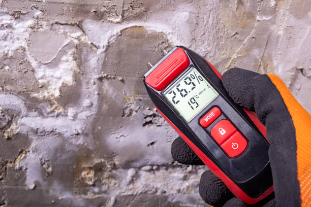 Best Mold Remediation Experts  in Mustang Ridge, TX