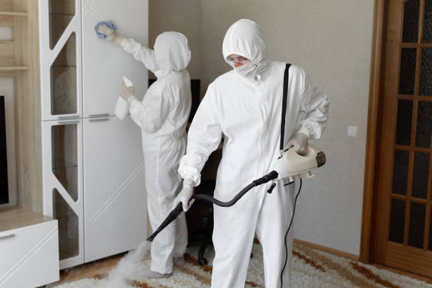 Best Mold Cleaning Services  in Mustang Ridge, TX