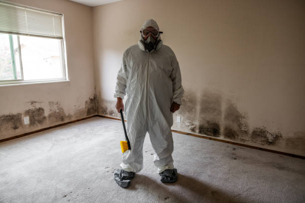 Best Residential Mold Removal  in Mustang Ridge, TX