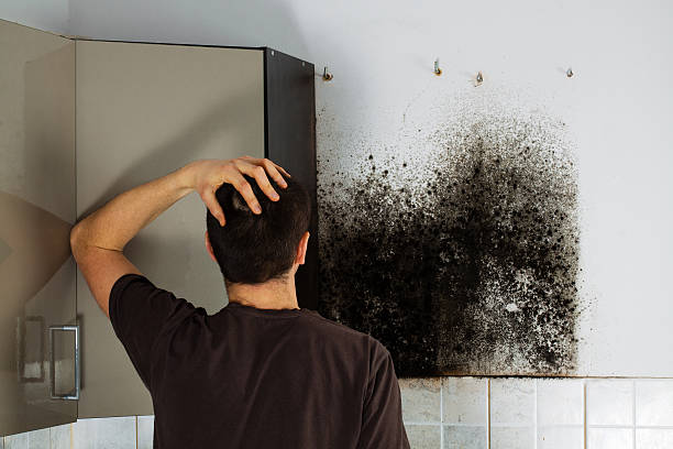 Best Best Mold Removal Companies  in Mustang Ridge, TX