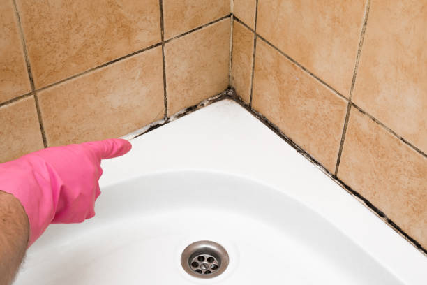 Best Mold Testing  in Mustang Ridge, TX